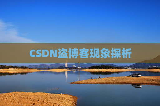 CSDN盗博客现象探析 CSDN盗博客现象探析